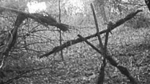 The Most Haunted Movie in the World